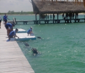Cancun05 041